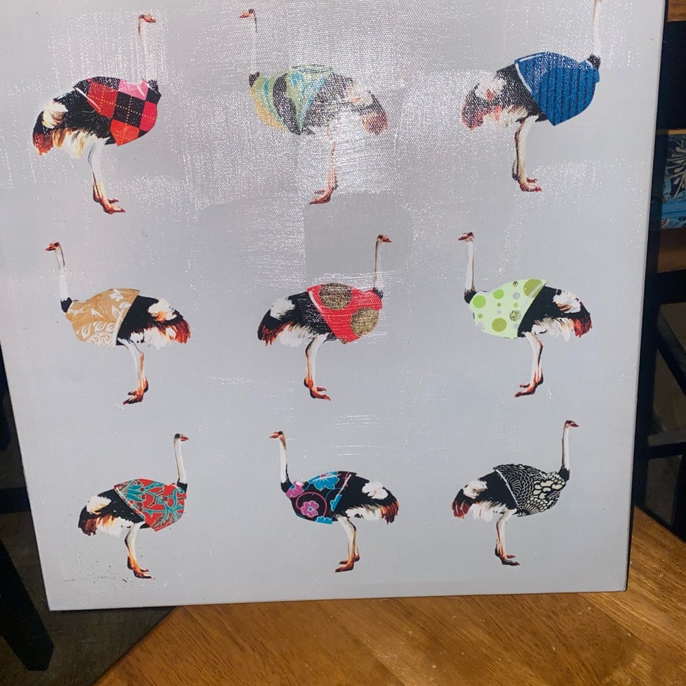Ostrich picture - Picture 2 of 4